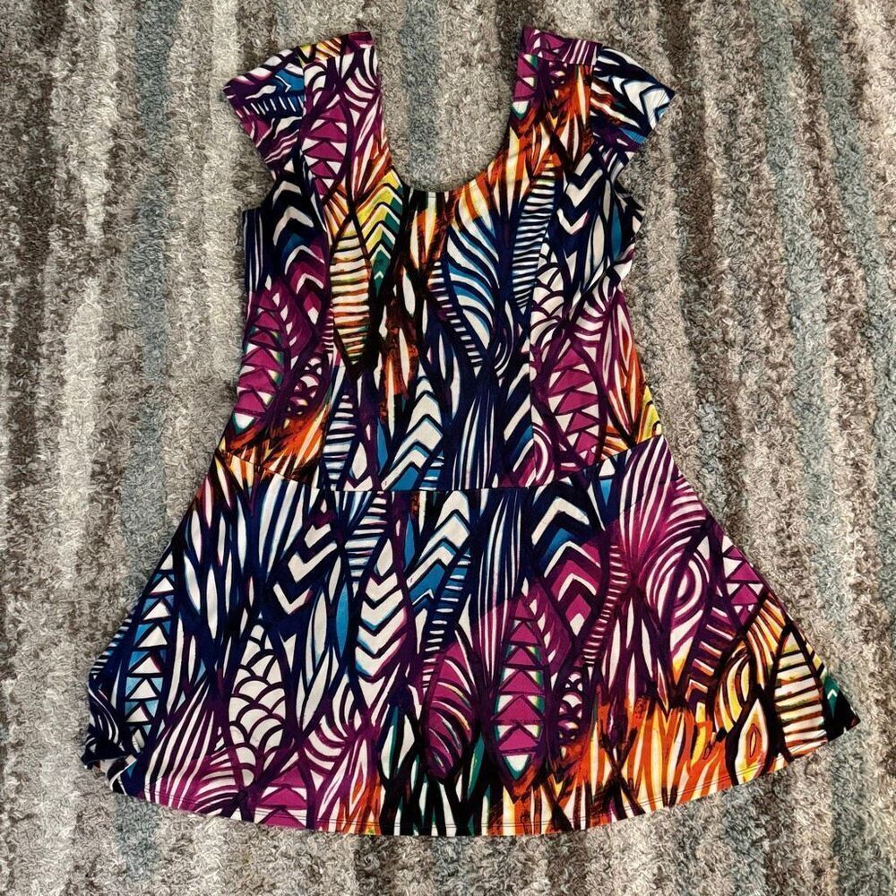 Ambar Vibrant Multicolor Abstract Casual Scoop Neck Dress L